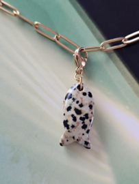 Grote vis Dalmatiër Jaspis