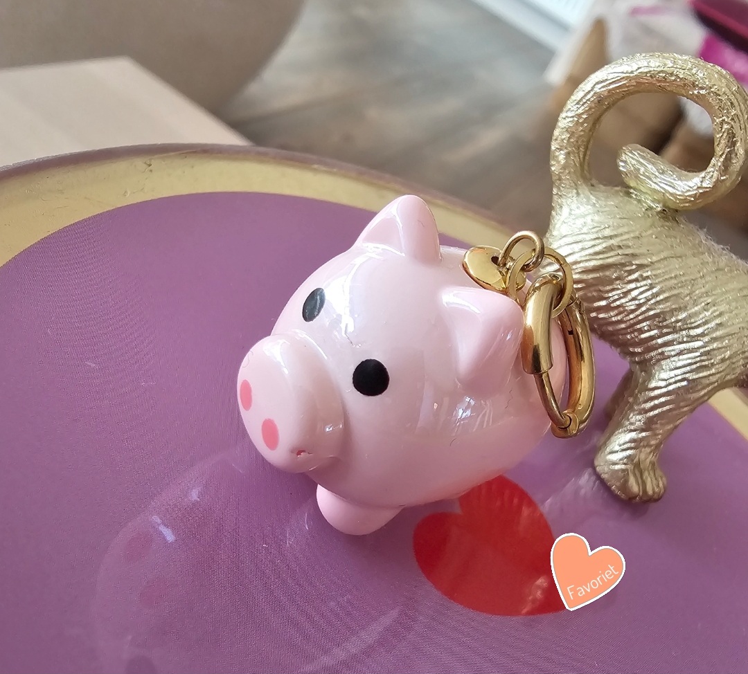 Bedel Lucky pig 🐷