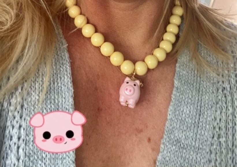 Bedel Lucky pig 🐷