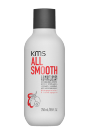 ALL SMOOTH Conditioner 250ml