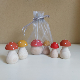 Set van 6 paddenstoelen in opbergzakje