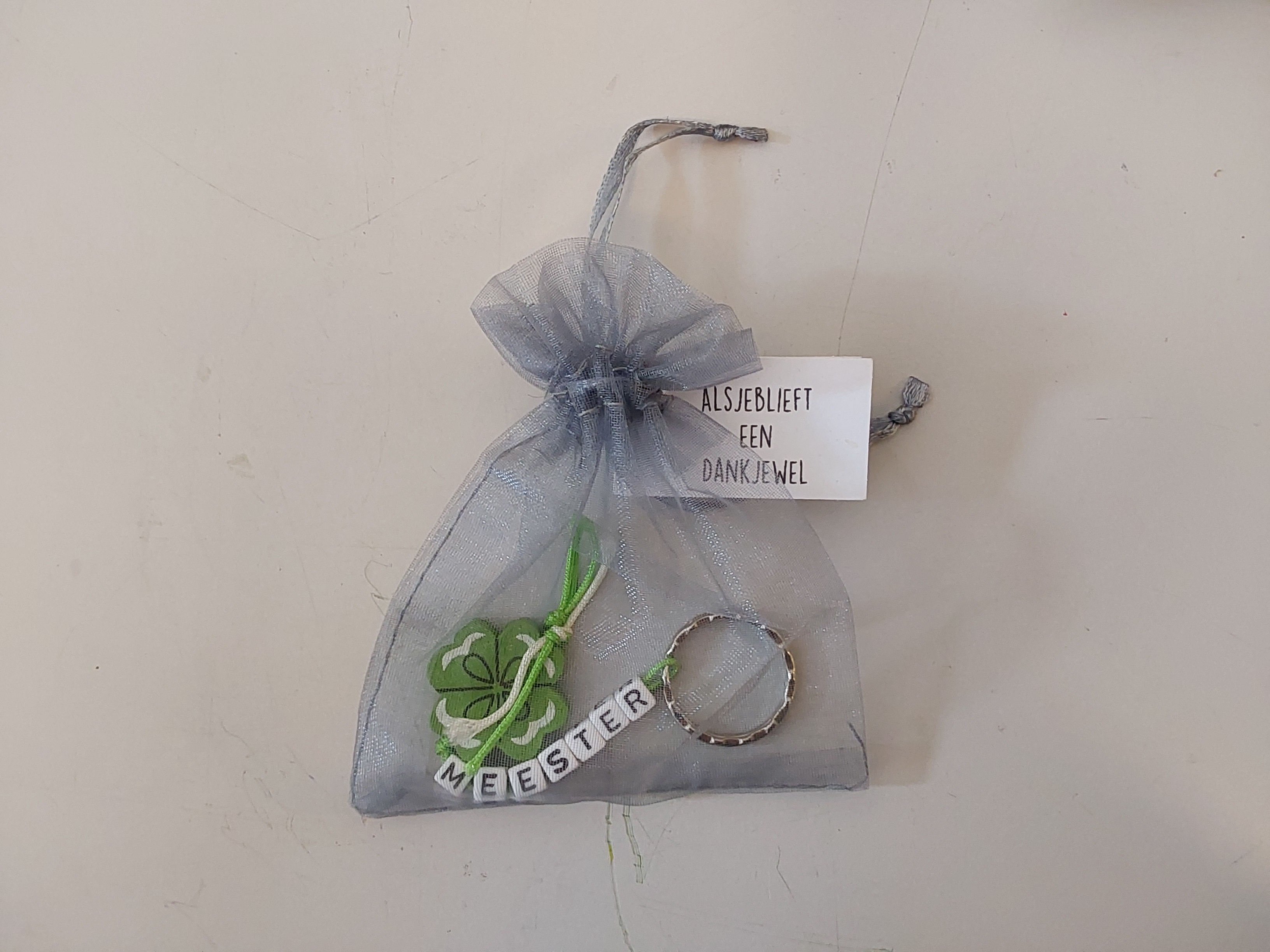 Sleutelhanger Meester