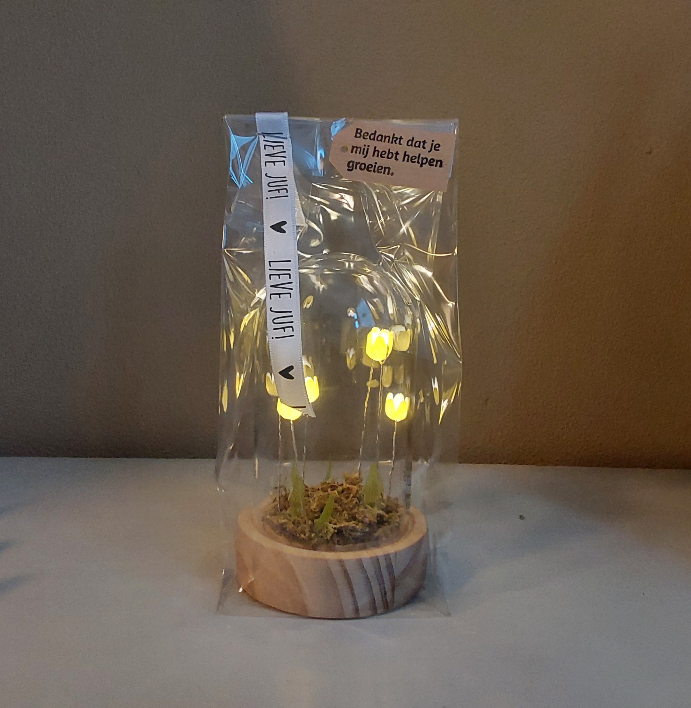 Voor de juf, stolp met verlichte tulpjes
