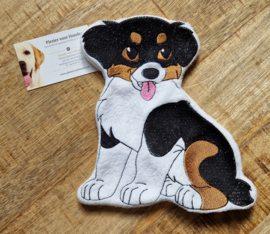 Australian shepherd Knuffel (black tri)