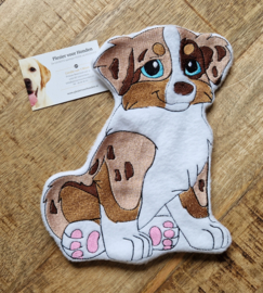 Australian shepherd Knuffel (red merle)