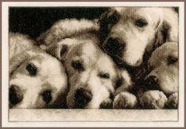 'Labradors' Vervaco