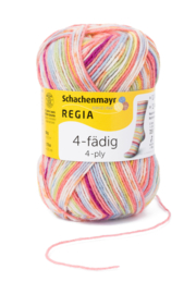 Regia Color 50gr Mix 1132