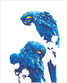 'Bleu Parrots' Diamond Dotz