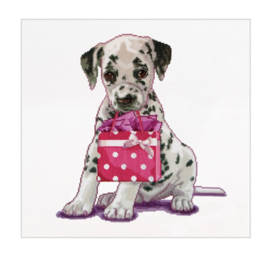 'Puppy went shopping' Thea Gouverneur 