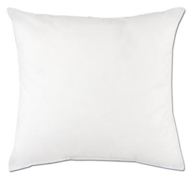 Bourrage Coussin 45x45cm