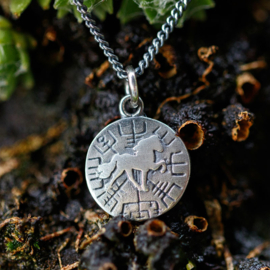 Vegvísir Power Tölter zilver: hanger IJslands magisch symbool met IJslands paard