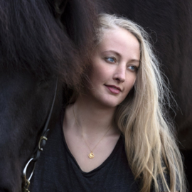 Blikka goud: hanger IJslands paard
