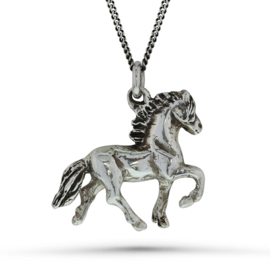 Kjarni zilver: hanger IJslands paard