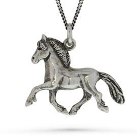 Fjordi silver: pendant Fjordhorse