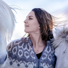 Elska zilver verguld: hanger IJslands paard