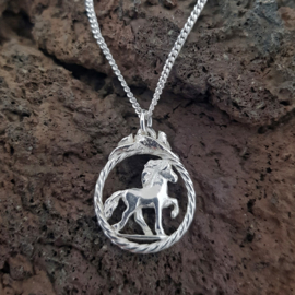 Freyja zilver: hanger IJslands paard