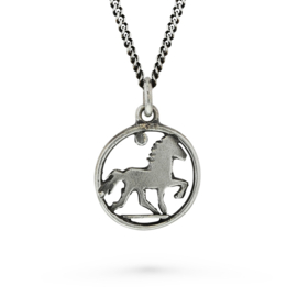 Blikka zilver: hanger IJslands paard