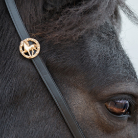 Rosa brass: bridle jewellery Icelandic horse