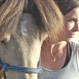 Lagsi silver gold plated: pendant Icelandic horse