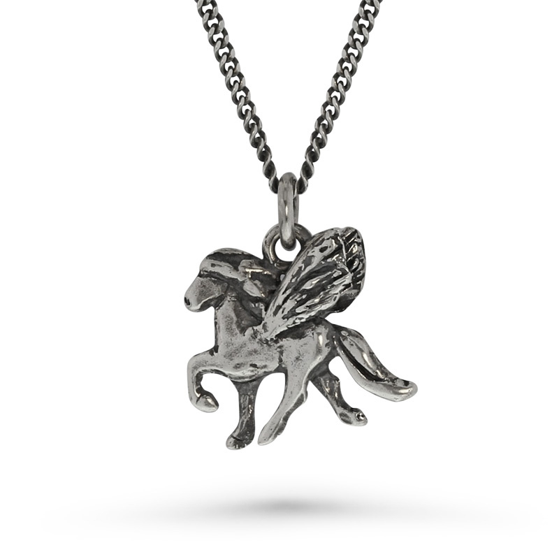 Kjalar zilver: hanger IJslands paard