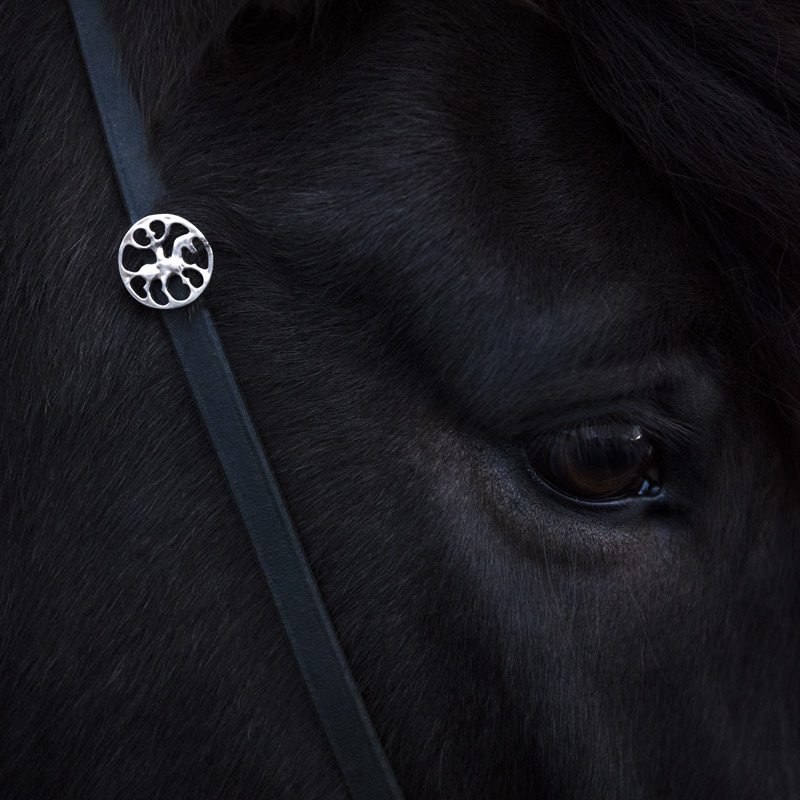Knapi silver: bridle jewellery Icelandic horse