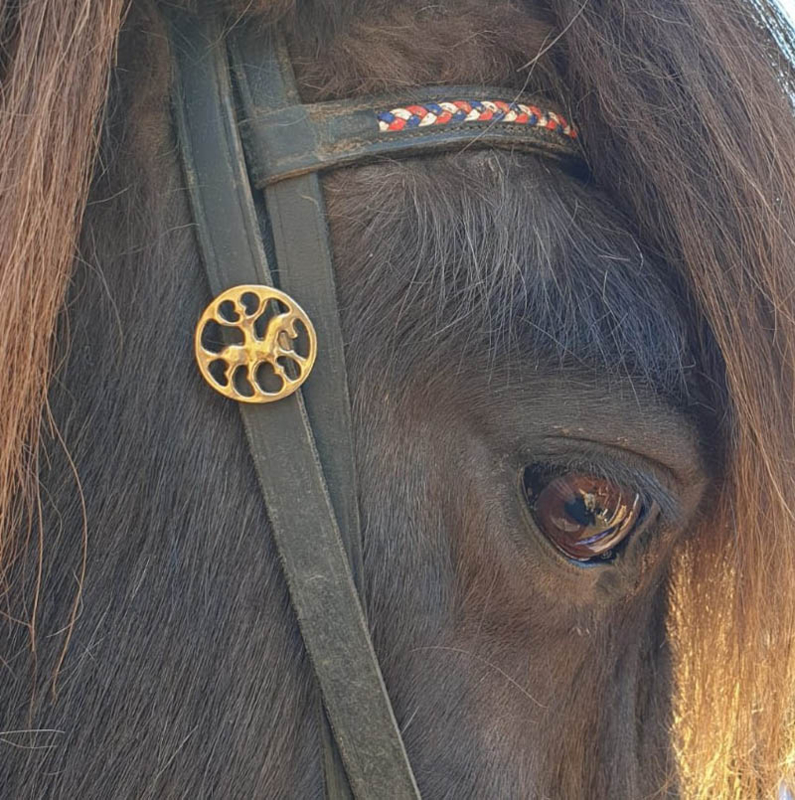 Knapi bronze: bridle jewellery Icelandic horse