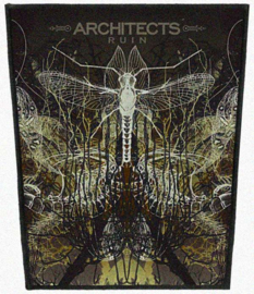 Architects - Ruin