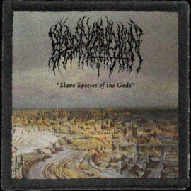 Blood Incantation - Slave Species Of The Gods