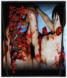 Torsofuck  - Backpatches