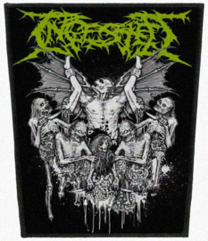 Ingested - Wings