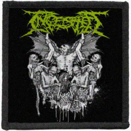 Ingested - Wings - printed patches