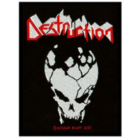 DESTRUCTION - Skull