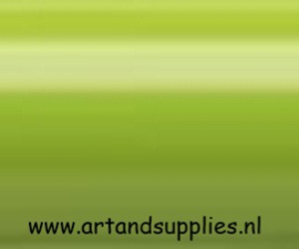 Faber Castell Polychromos kleurpotlood, (170) Meigroen