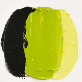 Cobra Study Olieverf (617) Geelgroen, 40ml