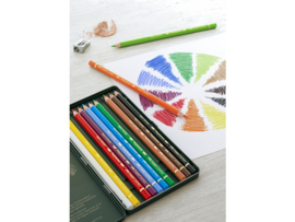 Faber Castell Polychromos kleurpotlodenset van 12 stuks