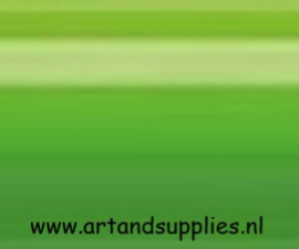 Faber Castell Polychromos kleurpotlood, (166) Grasgroen