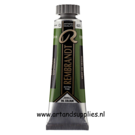 Rembrandt Olieverf Sapgroen (623/2), 40ml