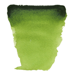 Van Gogh Aquarelverf Sapgroen (623), 10ml