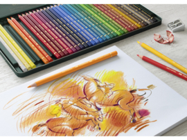 Faber Castell Polychromos kleurpotloden, set van 36 stuks