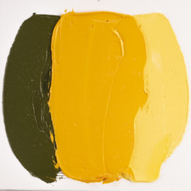 Cobra Study Olieverf (285) Permanentgeel Donker, 40ml