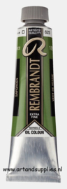 Rembrandt Olieverf Sapgroen (623/2), 40ml