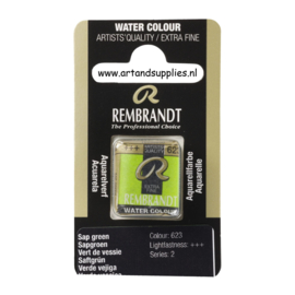 Rembrandt Aquarelverf Sapgroen (623/2), half napje