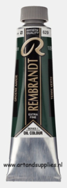 Rembrandt Olieverf Groene Aarde (629/1), 40ml