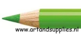 Faber Castell Polychromos kleurpotlood, (166) Grasgroen