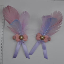 2 haarknipjes