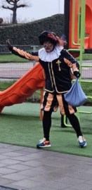 Piet Stefan