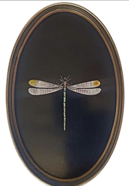 Iron tray 33x20cm