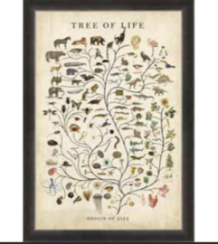 schilderij tree of life