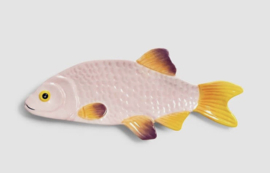 schaal  vis