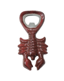 bottle opener